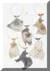 cats cats cats
