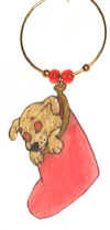 dog 5