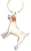 Dog 8