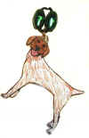 water bottle dog charm 8